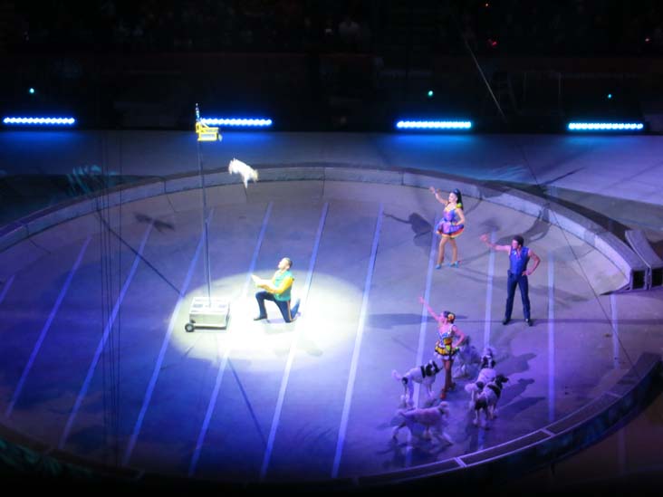 Ringling Bros & Barnum and Bailey Circus, Barclays Center, Prospect Heights, Brooklyn, February 24, 2017