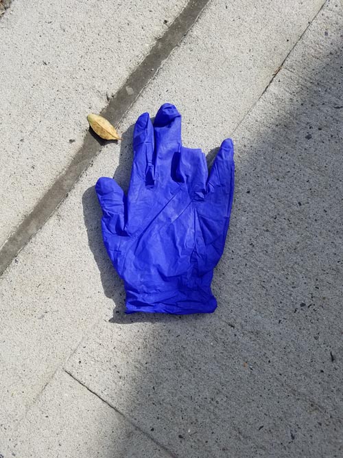 Abandoned Latex Glove, Astoria, Queens, April 16, 2020