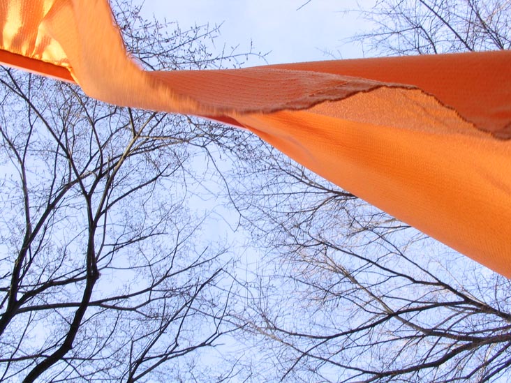 Christo and Jeanne-Claude's Gates Project: Final Day, Central Park, Manhattan, February 27, 2005