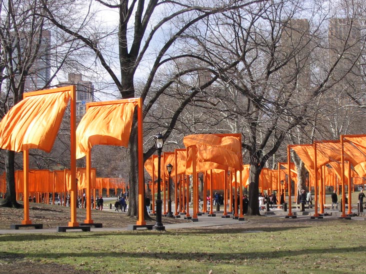 Near the Mall, Christo and Jeanne-Claude's Gates Project: Opening Day, February 12, 2005