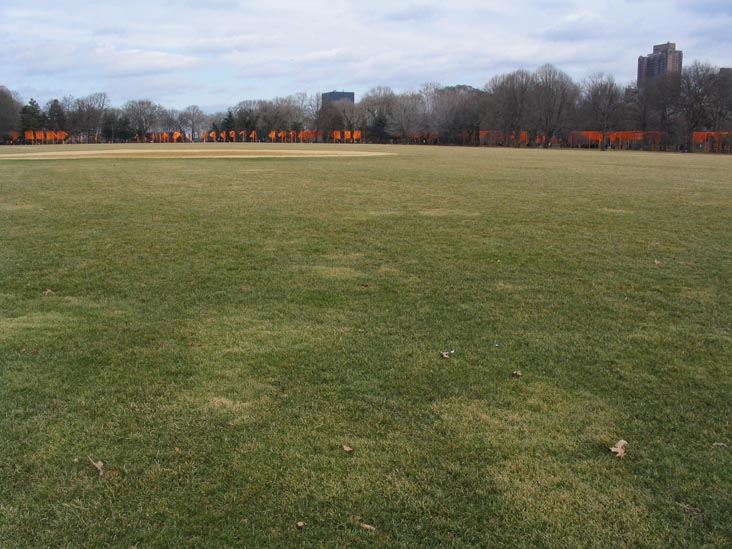 The Great Lawn, Christo and Jeanne-Claude's Gates Project: Opening Day, February 12, 2005