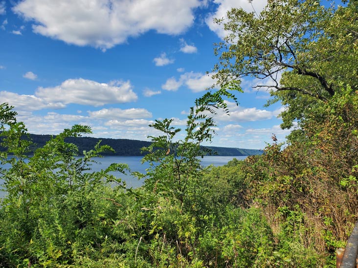 Overlook Meadow, Inwood Hill Park, Inwood, Upper Manhattan, September 8, 2024