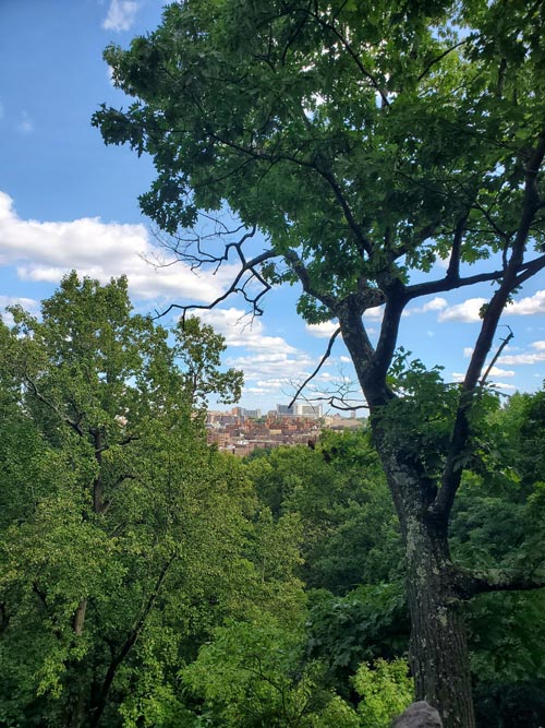 Inwood Hill Park, Inwood, Upper Manhattan, September 8, 2024