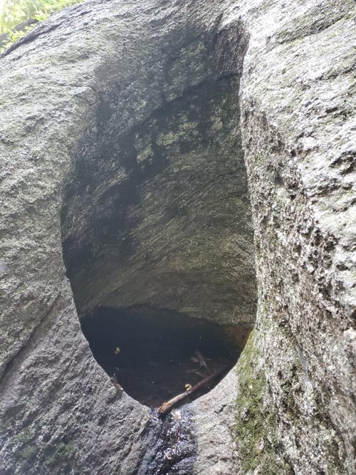 Glacial Pothole, Inwood Hill Park, Inwood, Upper Manhattan, September 8, 2024