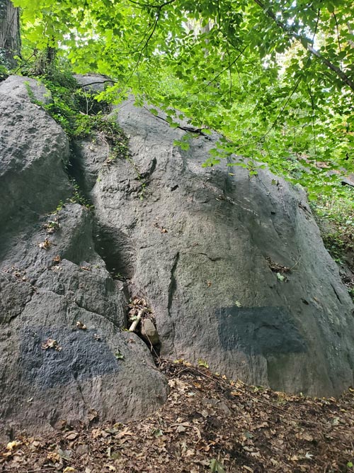 Glacial Pothole, Inwood Hill Park, Inwood, Upper Manhattan, September 8, 2024