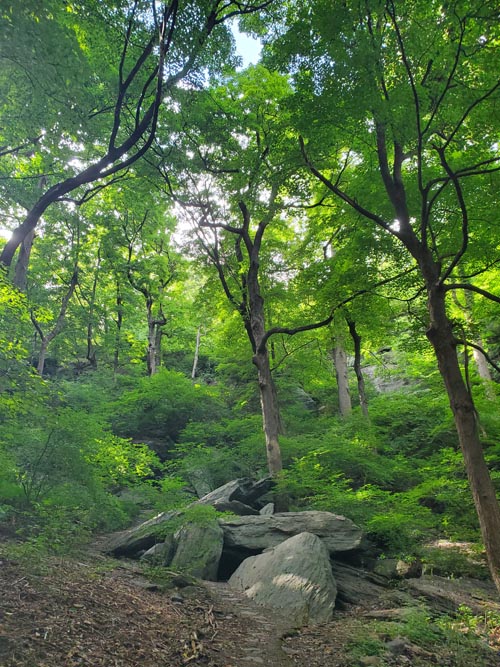 Rock Formations, Inwood Hill Park, Inwood, Upper Manhattan, September 8, 2024