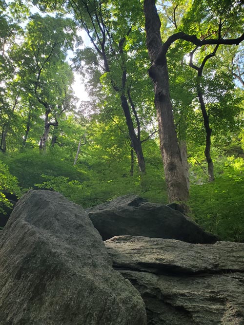 Rock Formations, Inwood Hill Park, Inwood, Upper Manhattan, September 8, 2024