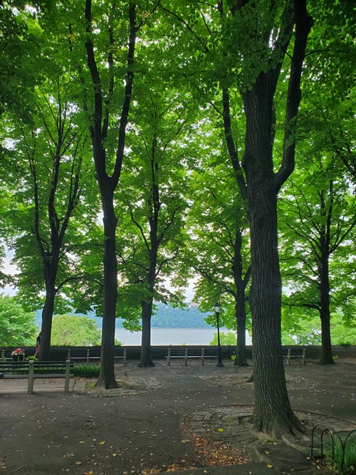 Fort Tryon Park, Washington Heights, Upper Manhattan, July 22, 2024