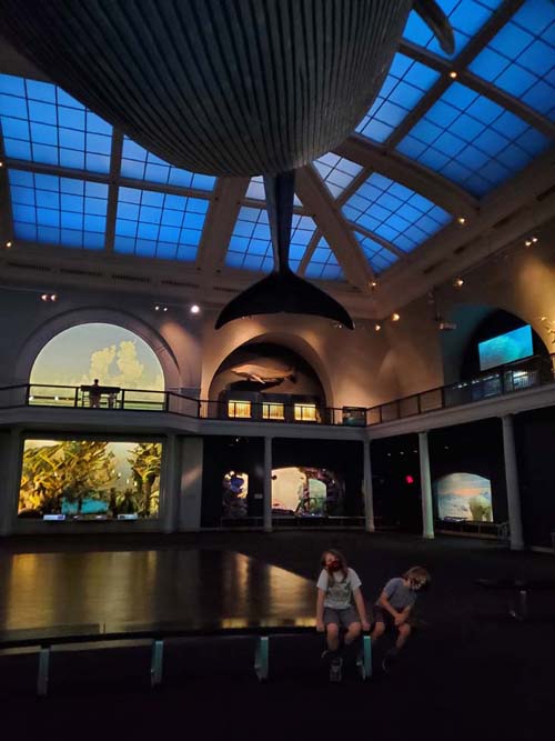 Milstein Hall of Ocean Life, American Museum of Natural History, Upper West Side, Manhattan, September 17, 2020