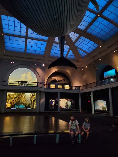 Milstein Hall of Ocean Life, American Museum of Natural History, Upper West Side, Manhattan, September 17, 2020