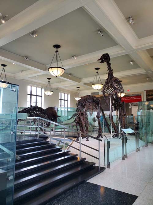 Hall of Ornithischian Dinosaurs, American Museum of Natural History, Upper West Side, Manhattan, September 17, 2020