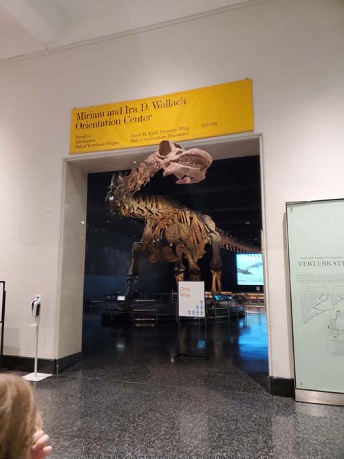 Titanosaur, Wallach Orientation Center, American Museum of Natural History, Upper West Side, Manhattan, September 17, 2020