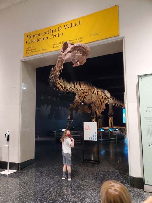 Titanosaur, Wallach Orientation Center, American Museum of Natural History, Upper West Side, Manhattan, September 17, 2020