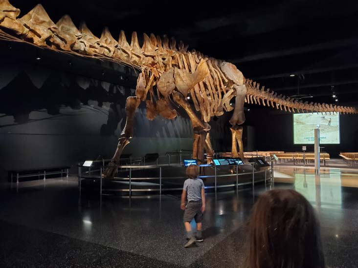 Titanosaur, Wallach Orientation Center, American Museum of Natural History, Upper West Side, Manhattan, September 17, 2020