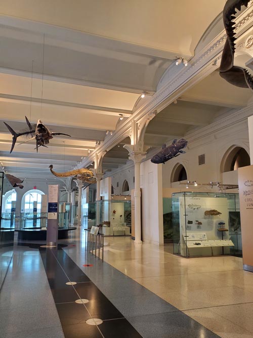 Hall of Vertebrate Origins, American Museum of Natural History, Upper West Side, Manhattan, September 17, 2020