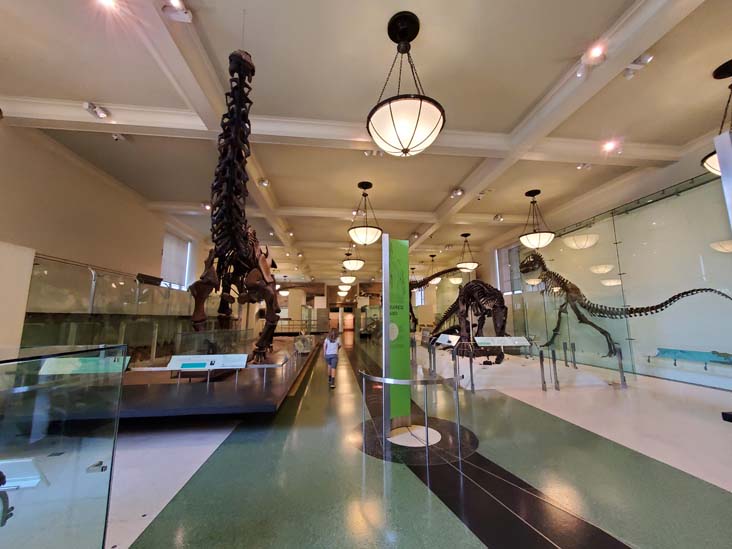 Hall of Saurischian Dinosaurs, American Museum of Natural History, Upper West Side, Manhattan, September 17, 2020