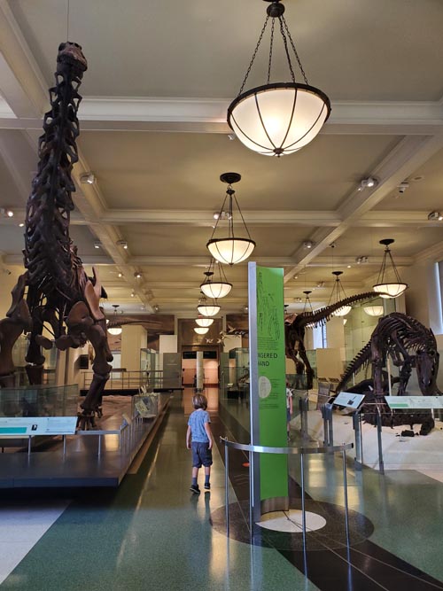 Hall of Saurischian Dinosaurs, American Museum of Natural History, Upper West Side, Manhattan, September 17, 2020