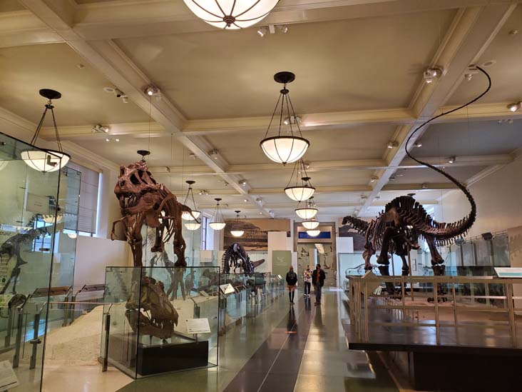 Hall of Saurischian Dinosaurs, American Museum of Natural History, Upper West Side, Manhattan, September 17, 2020