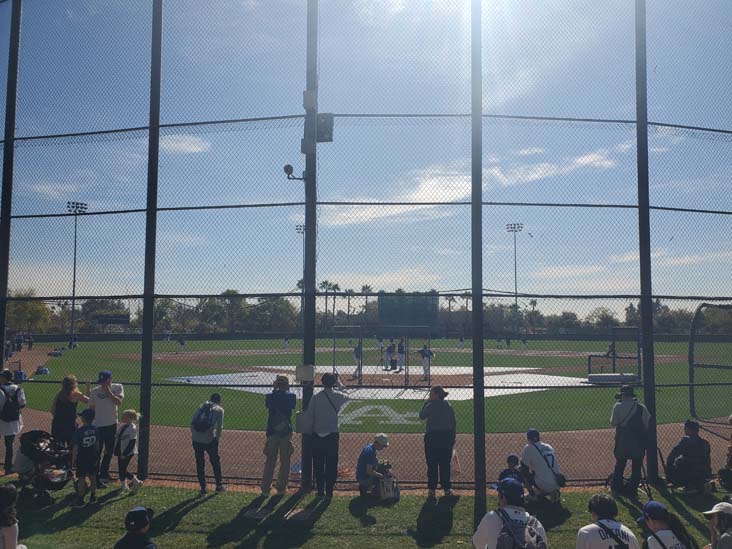 Dodgers Fields, Camelback Ranch, Glendale, Arizona, February 19, 2025