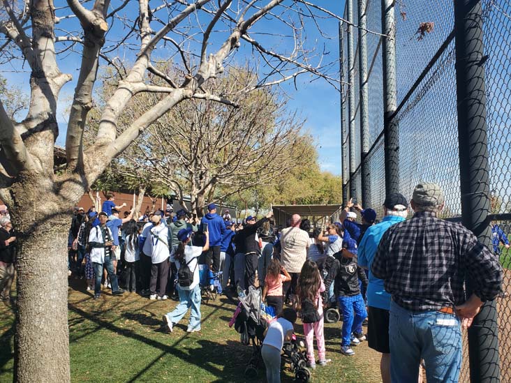 Dodgers Training, Camelback Ranch, Glendale, Arizona, February 19, 2025