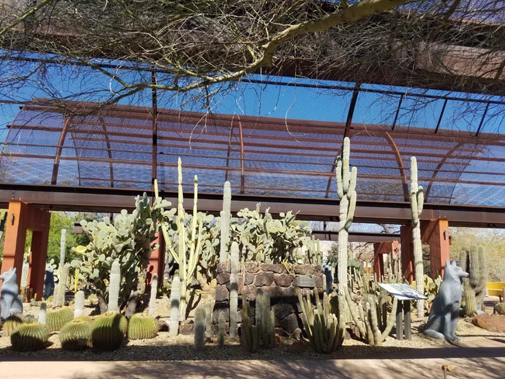 Desert Botancial Garden, Phoenix, Arizona, February 16, 2020