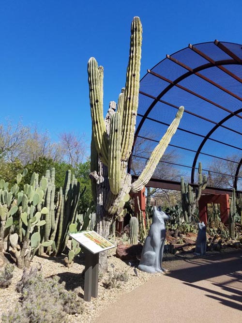 Desert Botancial Garden, Phoenix, Arizona, February 16, 2020