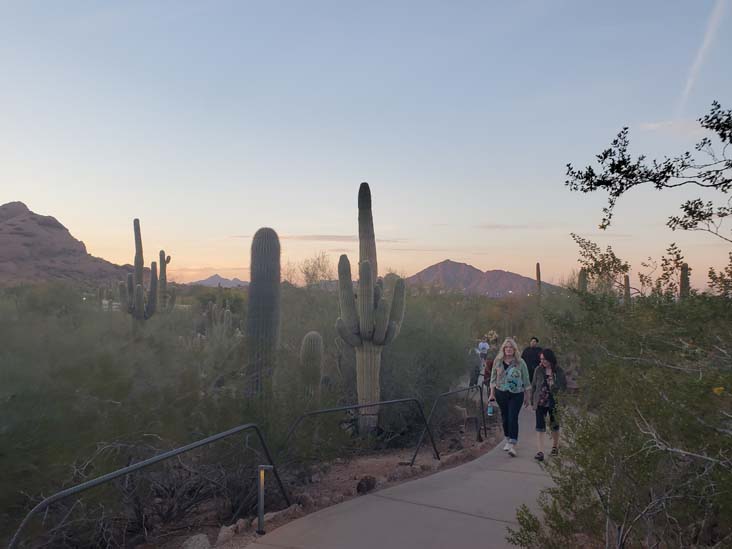 Desert Botancial Garden, Phoenix, Arizona, February 19, 2025