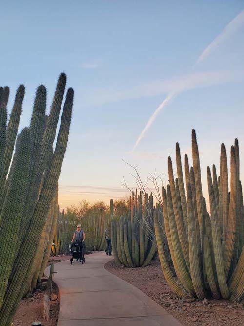 Desert Botancial Garden, Phoenix, Arizona, February 19, 2025