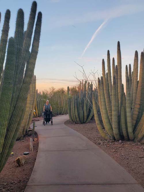 Desert Botancial Garden, Phoenix, Arizona, February 19, 2025