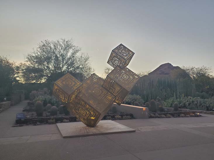 Light Bloom, Desert Botancial Garden, Phoenix, Arizona, February 19, 2025