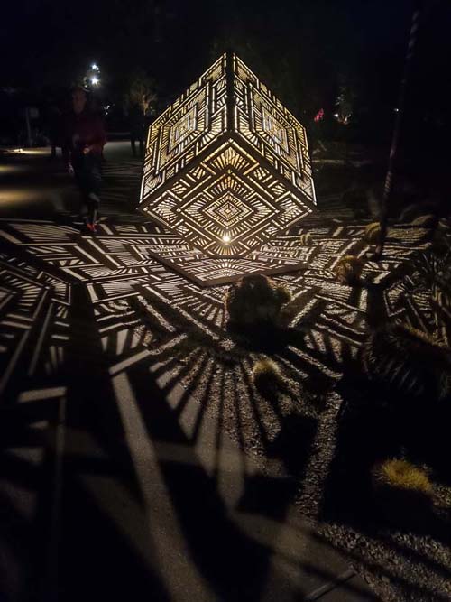 Light Bloom, Desert Botancial Garden, Phoenix, Arizona, February 19, 2025