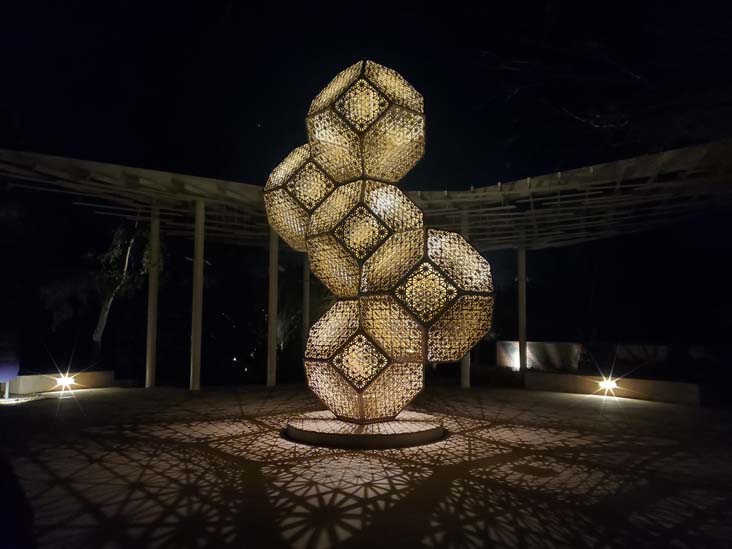 Light Bloom, Desert Botancial Garden, Phoenix, Arizona, February 19, 2025