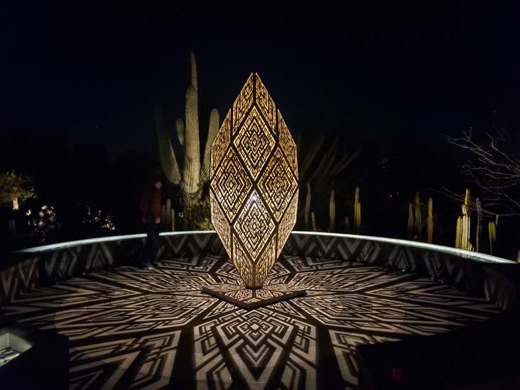 Light Bloom, Desert Botancial Garden, Phoenix, Arizona, February 19, 2025