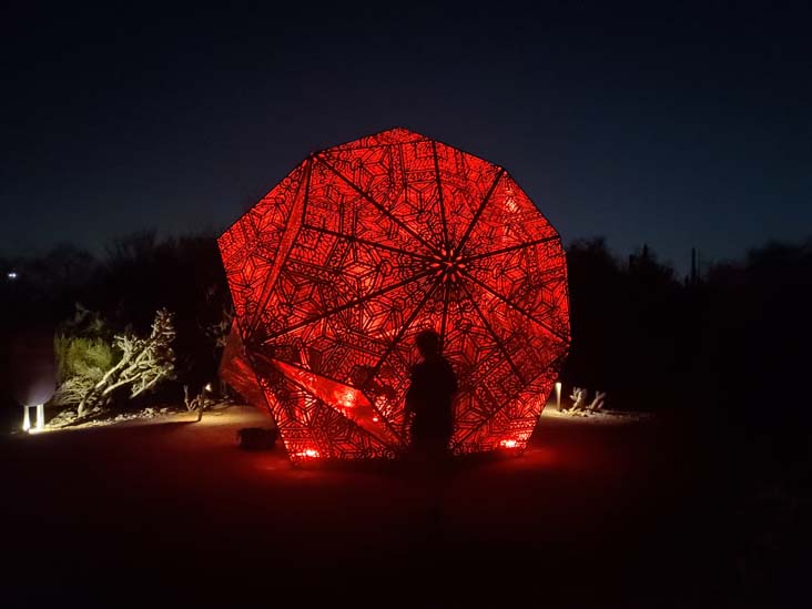 Light Bloom, Desert Botancial Garden, Phoenix, Arizona, February 19, 2025