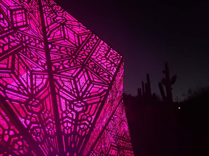 Light Bloom, Desert Botancial Garden, Phoenix, Arizona, February 19, 2025