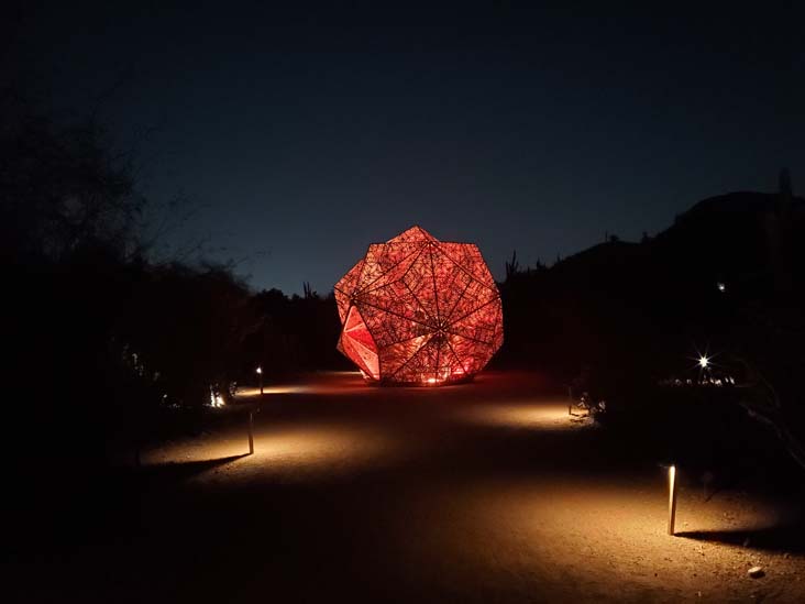 Light Bloom, Desert Botancial Garden, Phoenix, Arizona, February 19, 2025