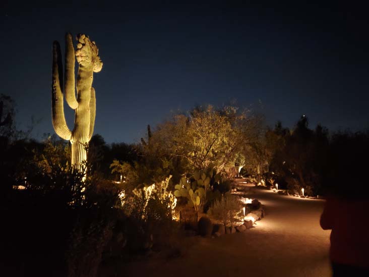 Desert Botancial Garden, Phoenix, Arizona, February 19, 2025