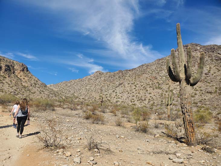 Telegraph Pass Trail, South Mountain Park & Preserve, Phoenix, Arizona, February 20, 2025