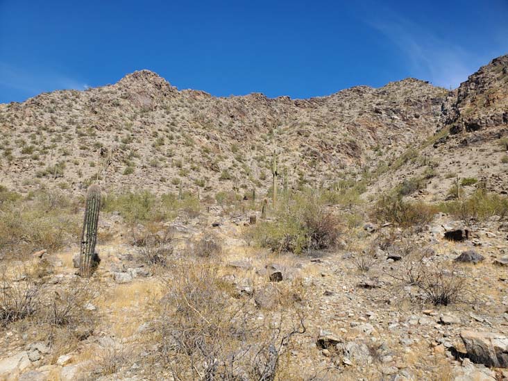 Telegraph Pass Trail, South Mountain Park & Preserve, Phoenix, Arizona, February 20, 2025