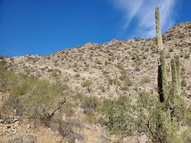 Telegraph Pass Trail, South Mountain Park & Preserve, Phoenix, Arizona, February 20, 2025