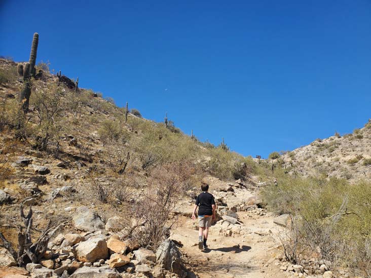 Telegraph Pass Trail, South Mountain Park & Preserve, Phoenix, Arizona, February 20, 2025