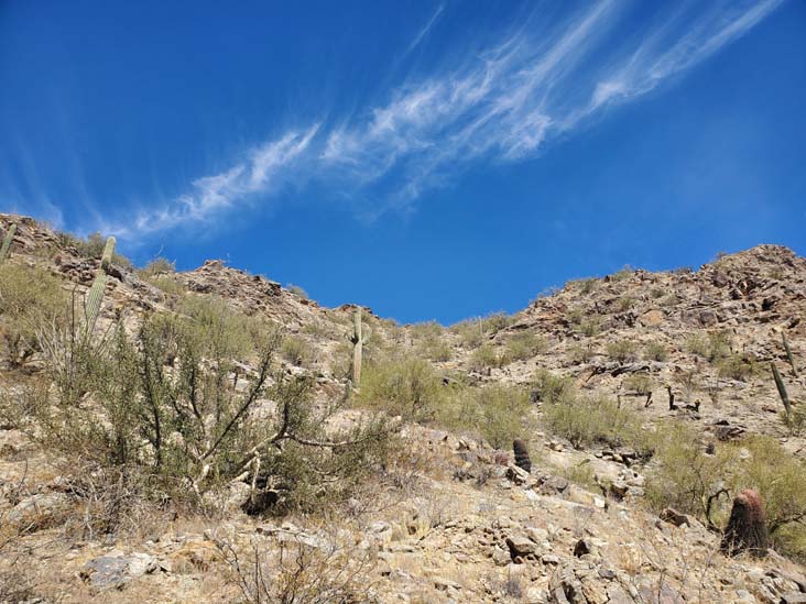 Telegraph Pass Trail, South Mountain Park & Preserve, Phoenix, Arizona, February 20, 2025