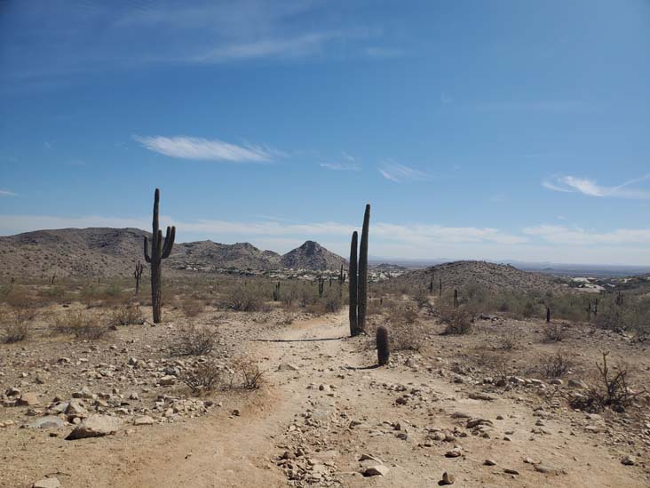 Telegraph Pass Trail, South Mountain Park & Preserve, Phoenix, Arizona, February 20, 2025