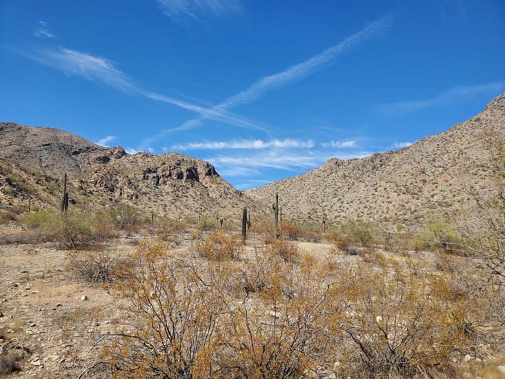 Telegraph Pass Trail, South Mountain Park & Preserve, Phoenix, Arizona, February 20, 2025