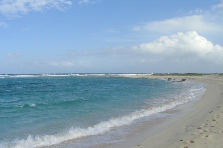 Boca Grandi, Aruba