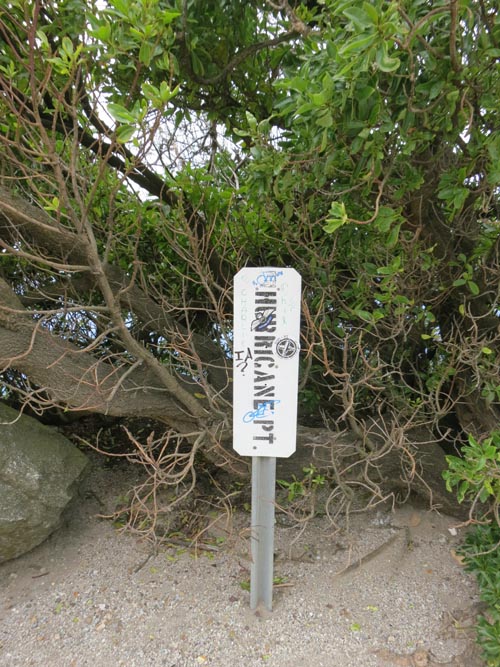 Hurricane Point, Highway 1 Between Carmel and Big Sur, California, May 15, 2012