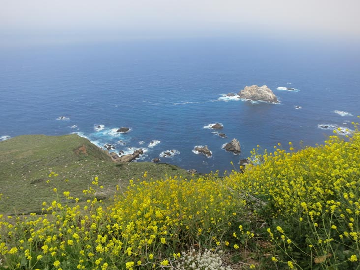 Hurricane Point, Highway 1 Between Carmel and Big Sur, California, May 15, 2012