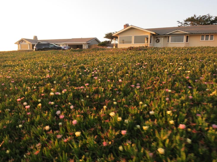 Along Jewell Avenue On Way Toward Asilomar State Beach, Pacific Grove, California