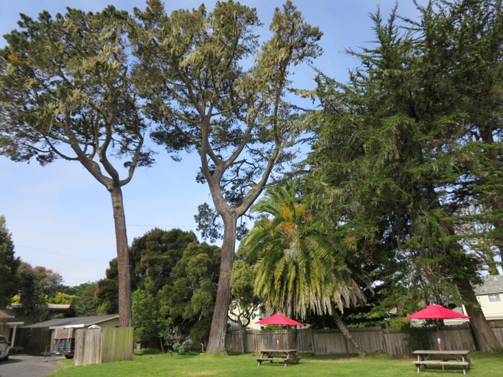 Sea Breeze Inn & Lodge, 1100 Lighthouse Avenue, Pacific Grove, California