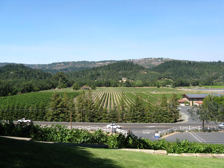 Route 29 From St. Clement Vineyards, 2867 St. Helena Highway North, St. Helena, California